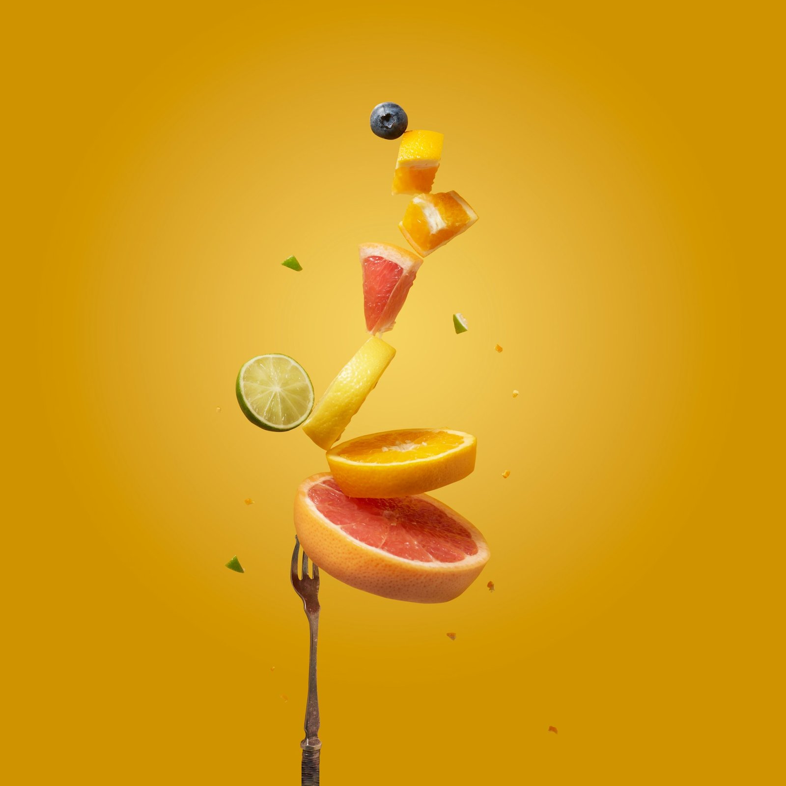 tangerine-newt-YJFQyhV1lgc-unsplash